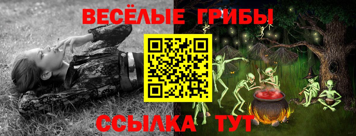 Галлюциногенные грибы Psilocybe Ирбит