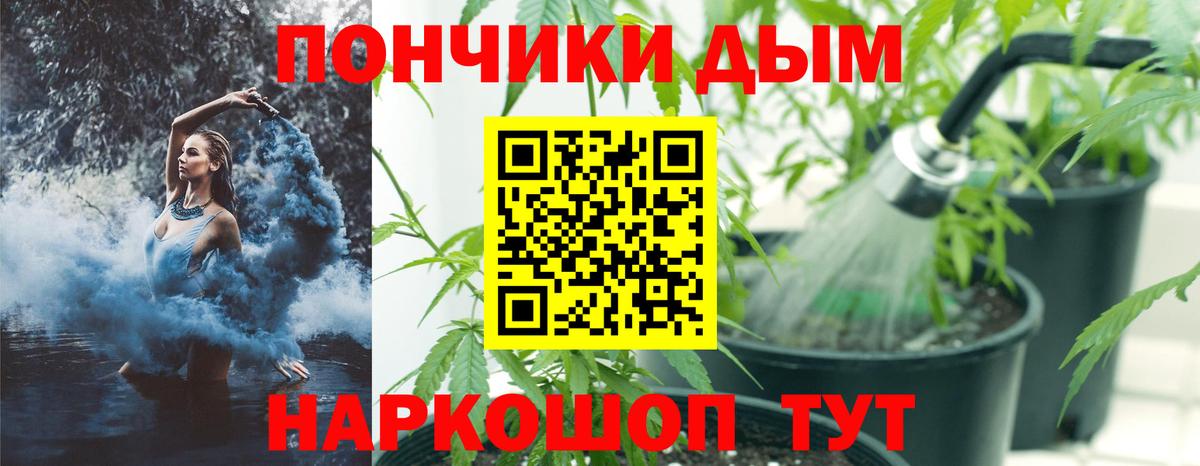 МАРИХУАНА сатива  Вход с VPN  Каннабис планчик  Ирбит  Бошки марихуана VHQ 